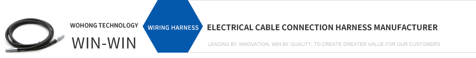 Jiangsu Wohong Technology Co., Ltd.